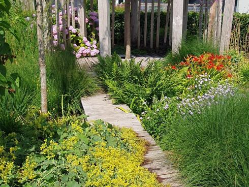 Bild elegrass.: Frauenmantel (Alchemilla mollis) säumt den Weg vom Frühjahr bis in den Herbst. Auch das Laub verdient Aufmerksamkeit.