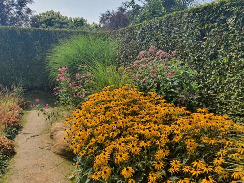 Bild elegrass.: An sonnigen Standorten sind Sonnenhüte (Rudbeckia und Echinacea) monatelang viel mehr als ein Hingucker. Je länger sich die Stauden am Standort entwickeln können, um so schöner.