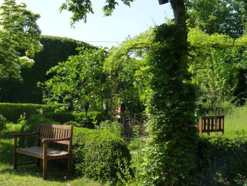 Bild BGL: Bäume und grosse Sträucher sind natürliche Klimaanlagen: Sie spenden Schatten, senken die Umgebungstemperatur und verhindern die Aufheizung der Terrasse.
