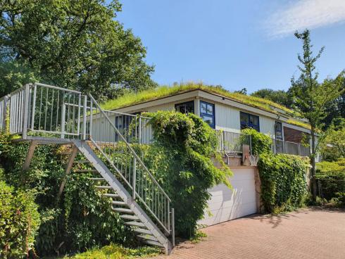 Bild BGL: Dach- und Fassadenbegrünungen kühlen durch Verdunstung, speichern Regenwasser und schützen die Gebäudehülle vor übermässiger Sonneneinstrahlung.