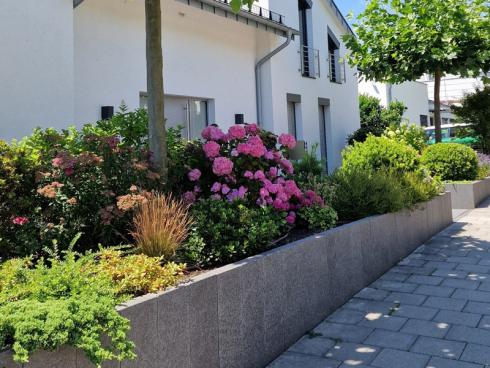 Bild BGL: Ein gestalterischer Kniff ist die Erhöhung des Beets - dann wachsen die Pflanzen nicht direkt ebenerdig im Boden, sondern in einem gemauerten Hochbeet. Dieses fungiert zugleich als kleine Mauer und trennt den Vorgarten klar vom öffentlichen Raum, ohne einengend oder abschirmend zu wirken.