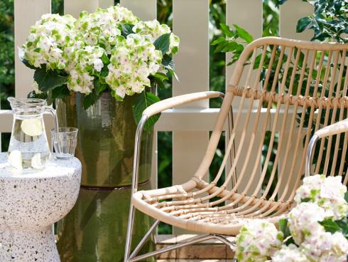 Bild Magical Hydrangea:  Hortensien mit weissen Blütendolden vertreiben die Hektik des Alltags und lassen auf dem Balkon zur Ruhe kommen.