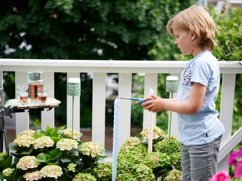 Bild Magical Hydrangea:  Es gibt was zum Feiern? Mit Hortensien wird die Terrasse schnell zum wohnlichen Outdoor-Wohnzimmer, wo sich Jung und Alt gerne aufhalten.