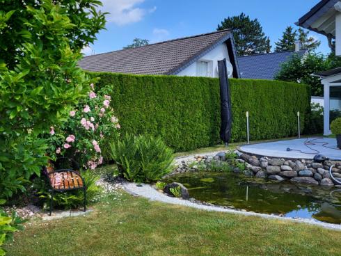 Bild BGL: Gut geplant kann Regenwasser Pflanzen versorgen, Lebensräume schaffen und den Erholungswert und damit die Attraktivit‰t des eigenen Gartens und der Immobilie deutlich erhöhen.