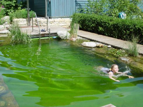 Bild BGL: Neben dem klassischen Becken gewinnt seit geraumer Zeit der naturnahe Schwimmteich an Bedeutung, weil er Badevergnügen und Naturerlebnis miteinander verbindet.