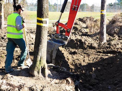 Bild baumbörse.ch: Eine spezielle Erdmischung in der Reha-Zone fördert die Wurzelbildung.