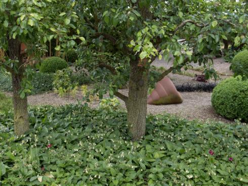 Kaukasischer Beinwell (Symphytum grandiflorum) gehört zu den besonders robusten Bodendeckern unter Bäumen: Er verträgt den Wurzeldruck der Gehölze und wächst dicht und kompakt. Im April und Mai wird die Staude dank ihrer Blüten zur Bienenweide. Außer mit pastellgelb bis cremefarbenen Blüten ist der robuste Bodendecker auch mit blau schimmernden Blüten zu haben.
