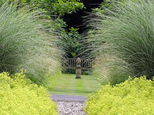 Königlicher Empfang: Massiv und luftig zugleich nimmt das Spalier aus gelbgrünem Frauenmantel (Alchemilla), Chinaschilf (z. B. Miscanthus sinensis ‚Morning Light‘) und Federgras (Stipa) Besucher im Hortus-Garten in Hilden in Empfang. (Bildnachweis: GMH/Bettina Banse)