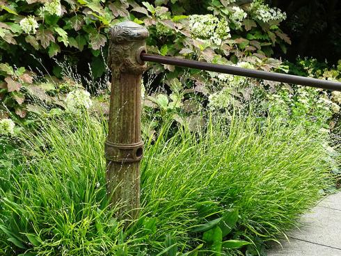 Verspielt: Das Einblütige Perlgras (Melica uniflora) verzaubert halbschattige bis schattige Bereiche mit seinem unbeschwerten Wesen. Das rötlich-grüne Laub der Eichenblättrigen Hortensie (Hydrangea quercifolia) passt ausgezeichnet zu dem filigranen Gras. (Bildnachweis: GMH/Bettina Banse)