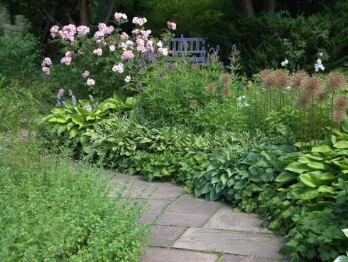 Eleganter Saum: Die unterschiedliche Färbung und Blattzeichnung der Funkien (Hosta) bietet auch in schattigen Lagen Abwechslung, ohne zu unruhig zu wirken. Im Frühling können Zwiebelblumen den Blattaustrieb ergänzen – etwa mit einem blauen Band aus Traubenhyazinthen (Muscari). (Bild: GMH/Bettina Banse)