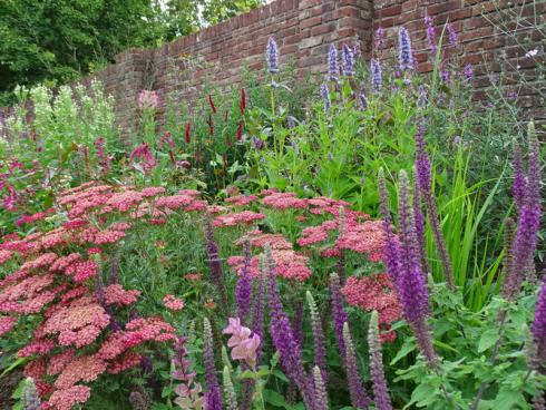 Harmonischer Kontrast: Die flächigen Formen von Schafgarbe und Scheinsonnenhut (Echinacea) wechseln mit den vertikalen Strukturen von Kerzen-Knöterich (Bistorta amplexicaulis), Duftnesseln (Agastache) und Kaukasus-Gamander (Teucrium hircanicum). Das Ergebnis ist ein großes WOW! (Bildnachweis: GMH/Bettina Banse)