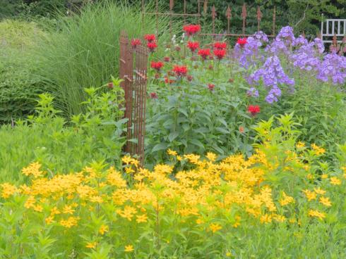 Mut zur Farbe: Mit Monarda ’Jacob Cline‘, Nadelblättrigem Mädchenauge (Coreopsis verticillata) und violettem Phlox leuchtet der Garten auch bei bedecktem Himmel. (Bildnachweis: GMH/Andre Stade)