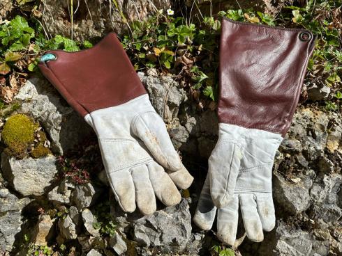 Bild garten.ch: Lederhandschuhe mit langem Lederschaft schützen auch die Unterarme beim Rosenschnitt.
