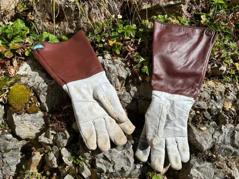 Bild garten.ch: Die Hände sind am stärksten exponiert bei Gartenarbeiten. Die richtigen Handschuhe ermöglichen ein schmerzfreies Arbeiten.