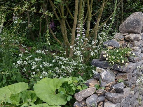 RHS / Neil Hepworth / The Welcome to Yorkshire Garden