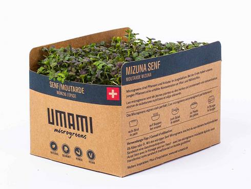 Bild UMAMI AG S. Bain: Microgreen Mizuna Senf auf Hanfmatte