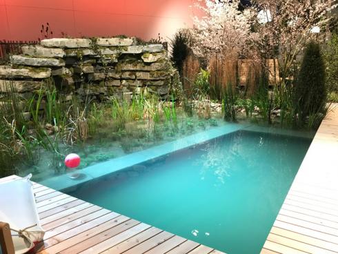 Bild garten.ch: Natur Pool mit Holzdeck