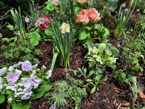 Bild garten.ch: Pflanzen in der ganzen Vielfalt zieren die verschiedenen Schaugärten. 