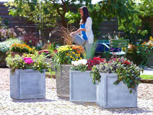 Bild GMH/FGJ: Mit warmen Gelb- und Rottönen zieht der Herbst auf Terrassen und in Gärten ein. In liebevoll arrangierten Pflanzkübeln setzen Herbstblüher mit ihren Begleitpflanzen bezaubernde Akzente.