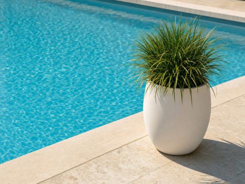 Bild AI: Die Wachstumsbedingungen an einem Pool sind herausfordernd. Sonnen- und Hitzeresistenz, verträglich gegenüber Spritzwasser und möglichst wenig Eintrag von abfallenden Pflanzenteilen sind die wichtiigsten Anforderungen.