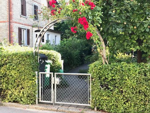 Bild garten.ch: Rosenbogen mit Gartentor, ein attraktiver Eingang