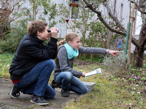 Mitmachen an der Stunde der Gartenvögel macht grossen Spass. Foto: Daniela Pauli/BirdLife Schweiz 