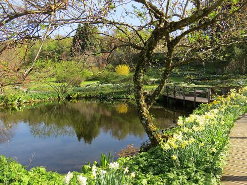 Bild garten.ch: Wasser im Garten als reizvolles Gestaltungselement