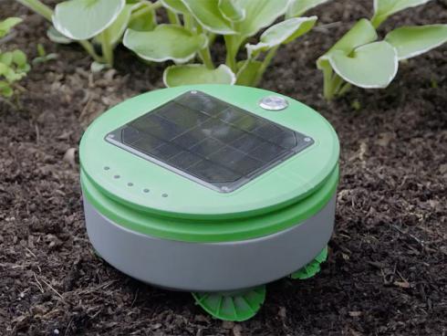 Bild Franklin Robotics: Tertill solarbetriebener Jätroboter Unkrautsensor und Hacker, geeignet für Gemüse und Blumenbeete.