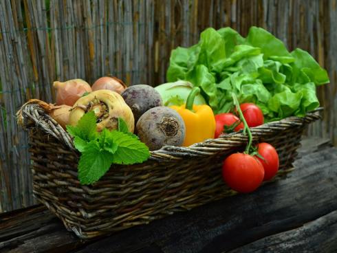 Bild congerdesign Pixabay: Wenn man Gemüse richtig lagert, kann man es ziemlich lange geniessen. 