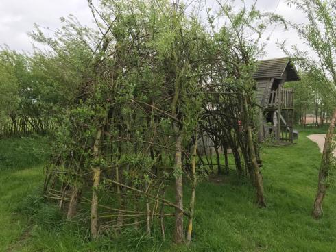 Bild garten.ch: Diese eher archische Pergola ist Konstruktion und Bepflanzung zu gleich. Sie erfordert einen jährlichen Rückschnitt.