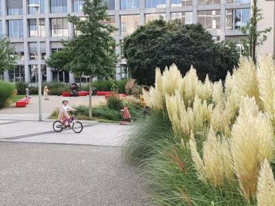 Foto: elegrass.