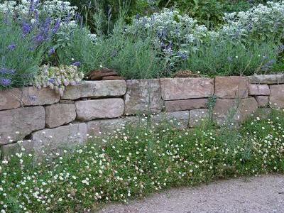 Blütendiadem: Lavendel, Perlkörbchen (Anaphalis triplinervis) und der extravagante Hopfen-Dost (Origanum rotundifolium) krönen die elegante Sandsteinmauer. Am Fuß schmückt sie eine Bordüre aus Spanischem Gänseblümchen (Erigeron karvinskianus). (Bildnachweis: GMH/Anne Eskuche)