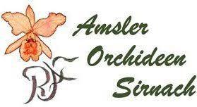 Orchideen Amsler 