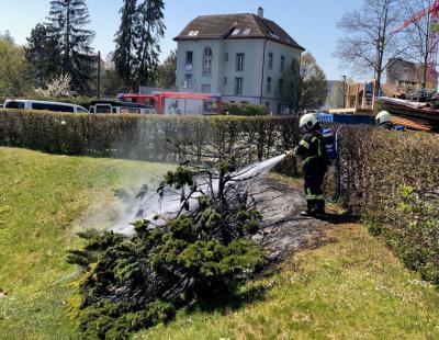 Die Feuerwehr Bischofszell konnte den Brand rasch löschen. (Bild: Kapo TG)
