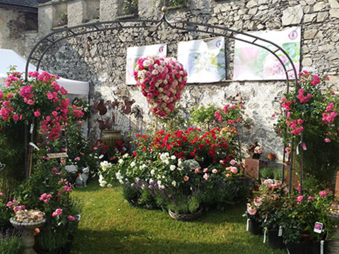 Gartenmarkt zürich