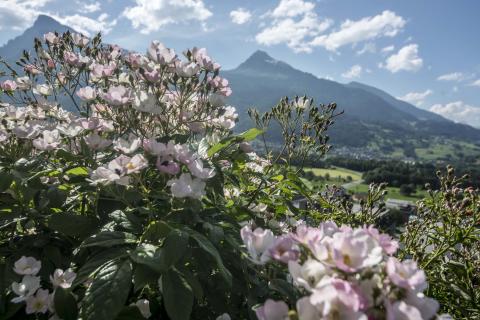 3. Gartenschau Gutenberg