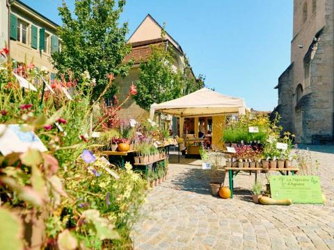 Le marché de De Vert et d’Art met en valeur la production végétale locale à proximité de l’Abbatiale de Payerne. © Agence Audace, Simon Brunet, 2024