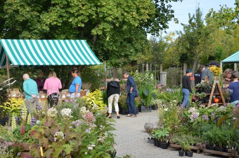 Herbstmarkt