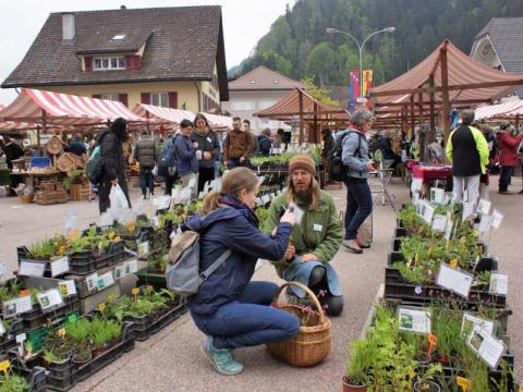 11. Entlebucher Kräuter- und Wildpflanzenmarkt