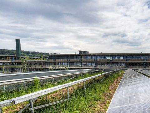 Dach des ewz-Unterwerks Oerlikon mit Photovoltaik und Begrünung, Bild ewz