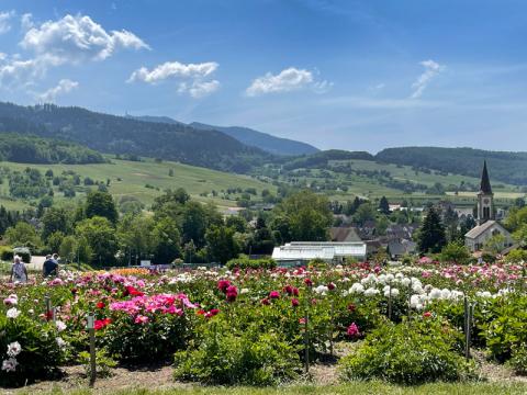 Gartenfest: Samstag und Sonntag, 17. und 18. Mai 2025