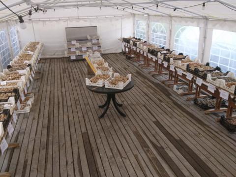 Bild: Pflanzkartoffel- und Ostermärit auf dem Berchtoldshof 