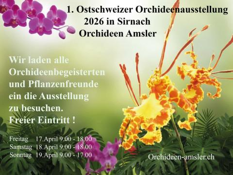 Ostschweizer Orchideenausstellung – Orchideen Amsler