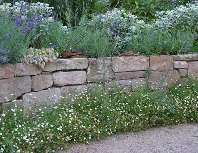 Blütendiadem: Lavendel, Perlkörbchen (Anaphalis triplinervis) und der extravagante Hopfen-Dost (Origanum rotundifolium) krönen die elegante Sandsteinmauer. Am Fuß schmückt sie eine Bordüre aus Spanischem Gänseblümchen (Erigeron karvinskianus). (Bildnachweis: GMH/Anne Eskuche)