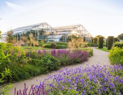 Bild: Europäischer Gartenpreis 2020 RHS