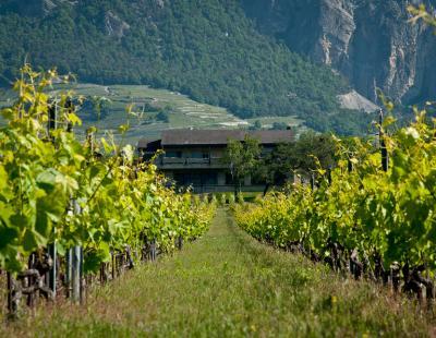 Photo Leytron (Etat du Valais, Didier Carré)