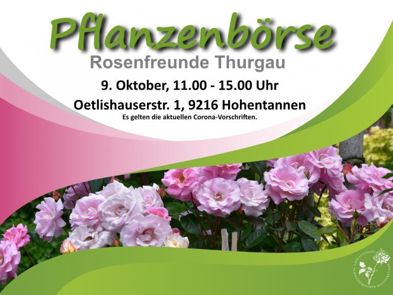 PFLANZENBÖRSE - GSRF, ROSENGRUPPE THURGAU