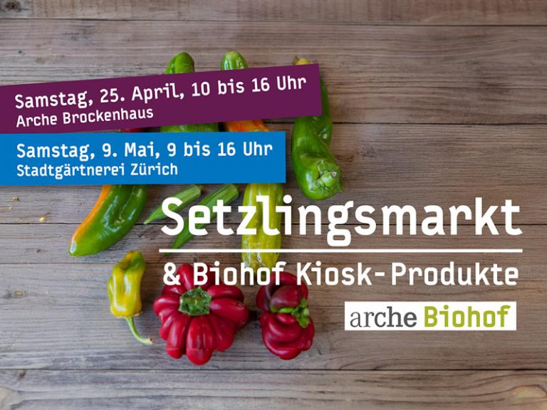Frühlingsmarkt Arche Biohof mit Gemüsesetzlingen