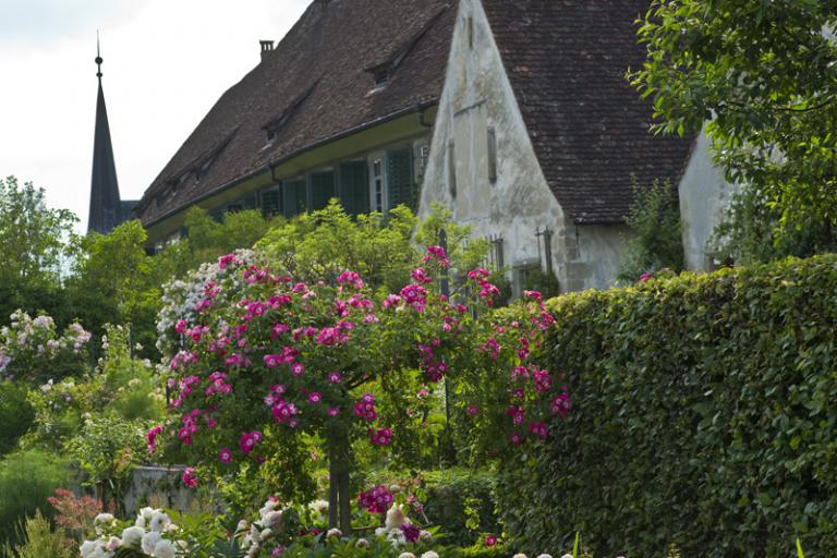 Ittinger Museum