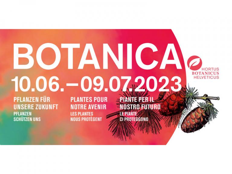 Botanica